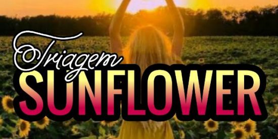 Imagem do grupo de WhatsApp 🌻TRIAGEM【SŇ】🌻