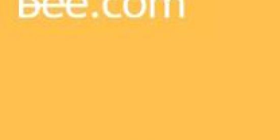 Imagem do grupo de WhatsApp Bee Network