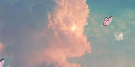 Imagem do grupo de WhatsApp Ganhar seguidores