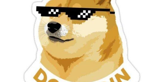 Imagem do grupo de WhatsApp 🪙 DOGECOIN