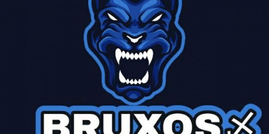 Imagem do grupo de WhatsApp BRUXOS