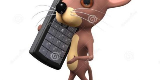 Imagem do grupo de WhatsApp Zapkkkkkkkkkkkkkkkkkkkkkk