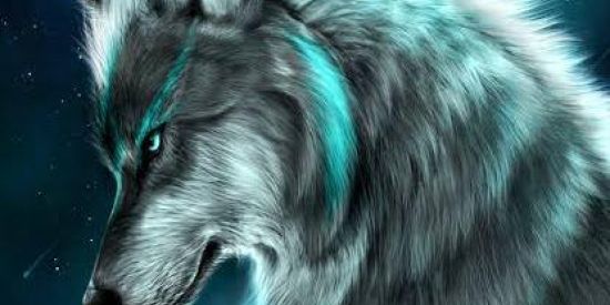 Imagem do grupo de WhatsApp 🤬🔥FACCAO ALPHA A. P. H 🔥🤬