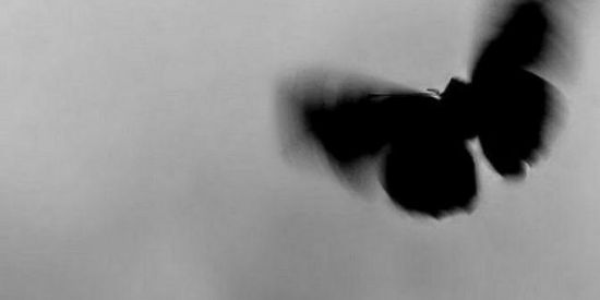 Imagem do grupo de WhatsApp Seguidores no instagram