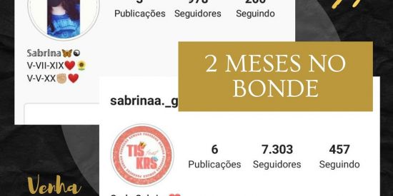 Imagem do grupo de WhatsApp ⚡' Ganhar seguidores'⚡