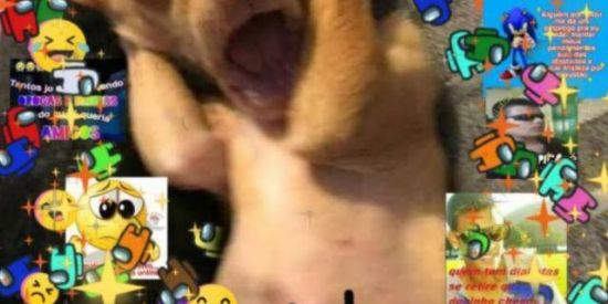 Imagem do grupo de WhatsApp 🌈₷ĦⶇŤP❍₷ŦΣƦ҈ ₣ⶇGỮŘⶇŇĦΔۜۜ😱