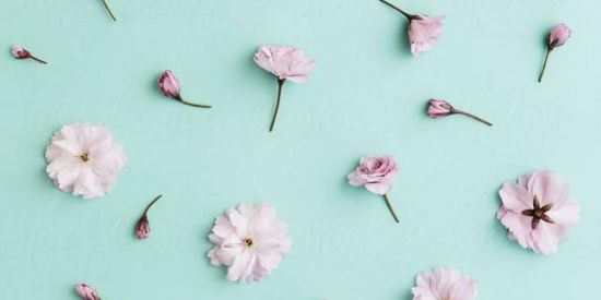 Imagem do grupo de WhatsApp vAmOos Conversar😊