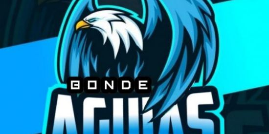 Imagem do grupo de WhatsApp 🦅RECRUTAMENTO🦅