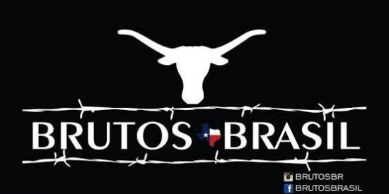 Imagem do grupo de WhatsApp Brutos do brasil