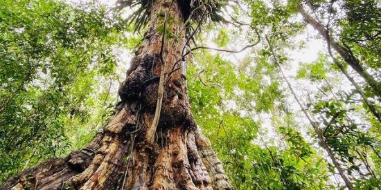 Imagem do grupo de WhatsApp ғ ᴀ ᴍ ɪ ʟ ɪ ᴀ   ʜ ᴢ ᴋ🤏🏻😎👍🏼