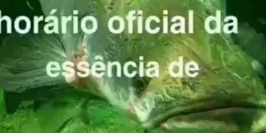 Imagem do grupo de WhatsApp Vasco