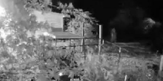 Imagem do grupo de WhatsApp Relatos dos médiuns