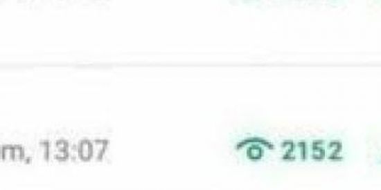 Imagem do grupo de WhatsApp Visualização no status⚜️