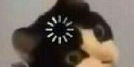 Imagem do grupo de WhatsApp ⚠️GRUPO DA BAGUNÇA 🤡