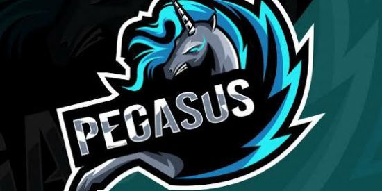 Imagem do grupo de WhatsApp 🦄Ofcpegasus🦄
