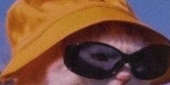 Imagem do grupo de WhatsApp Visualização status