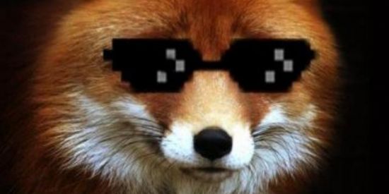 Imagem do grupo de WhatsApp Figurinhas