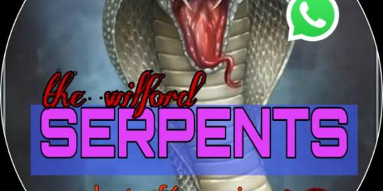 Imagem do grupo de WhatsApp 🐍✦ωl'∂✦||sєrρєทτs🐍