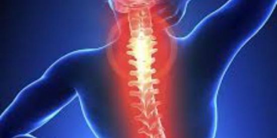 Imagem do grupo de WhatsApp Tratando coluna e lombar👨🏻‍⚕️