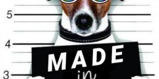 Imagem do grupo de WhatsApp 🥀⃟ZUΞΙΥΛ ΒR⃟🥀🏳️‍🌈🟤⚫