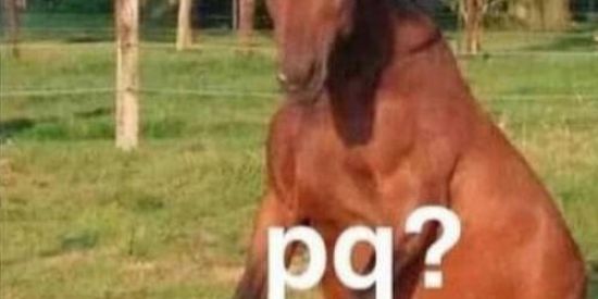 Imagem do grupo de WhatsApp Um cu