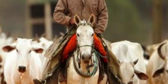 Imagem do grupo de WhatsApp çebola blequers