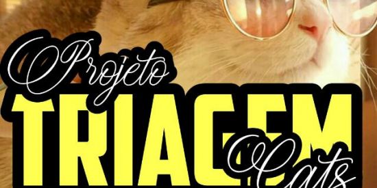 Imagem do grupo de WhatsApp •🐱ᴛʀɪᴀɢᴇᴍ ᴍʀ.ᴄᴀᴛs🐱•