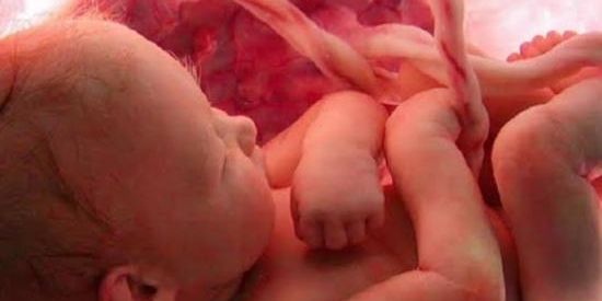 Imagem do grupo de WhatsApp Mamãe adolescente🤱🤰