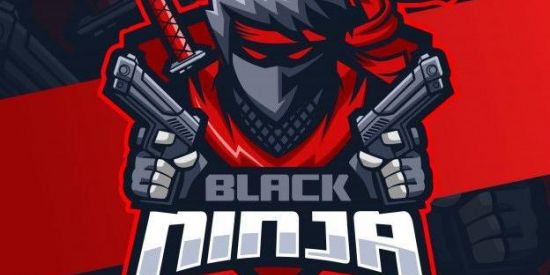 Imagem do grupo de WhatsApp BLAKNINJA_TM