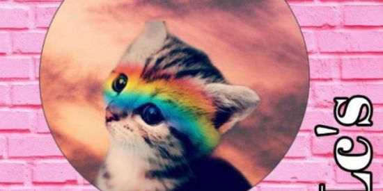 Imagem do grupo de WhatsApp Recrutamento equipe 84