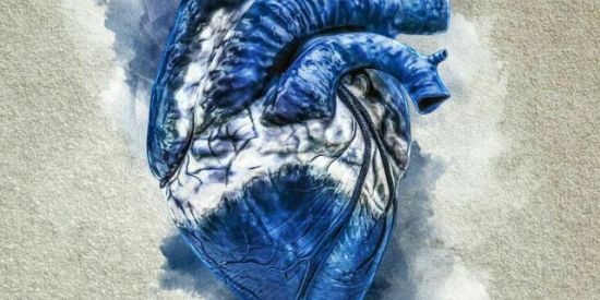 Imagem do grupo de WhatsApp Nação azul 💙🦊