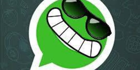 Imagem do grupo de WhatsApp Figurinhas e divulgações