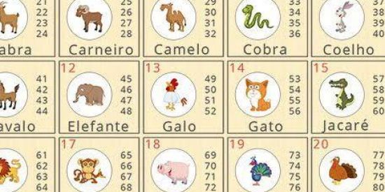 Imagem do grupo de WhatsApp Jogo do Bicho