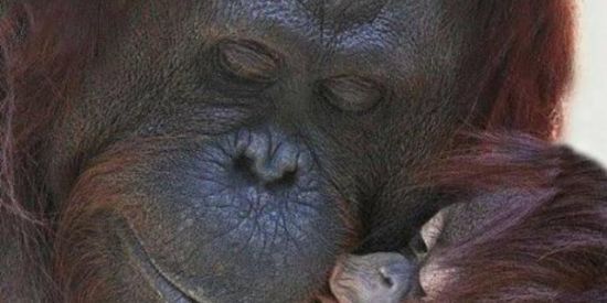 Imagem do grupo de WhatsApp Qualé a boa