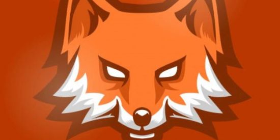 Imagem do grupo de WhatsApp 🦊 Projeto fox 🦊 1