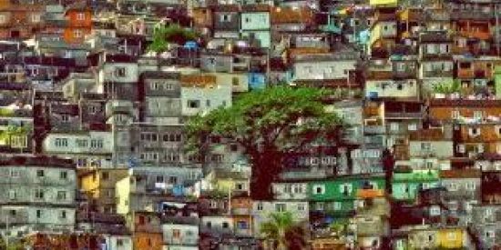 Imagem do grupo de WhatsApp Grupo dos mandrak 😎🍃