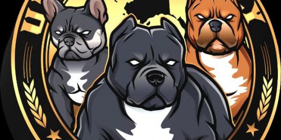 Imagem do grupo de WhatsApp Criadores de pitbull🐶🤍