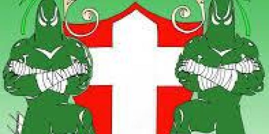 Imagem do grupo de WhatsApp MANCHA VERDE OFC💚🐷🌴