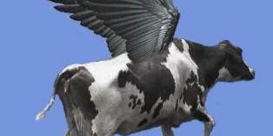 Imagem do grupo de WhatsApp O mundo é nosso 🌎🥤