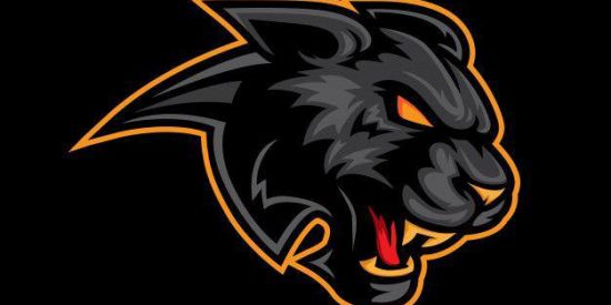 Imagem do grupo de WhatsApp 🌻TREINAMENTO DE ADM🌻