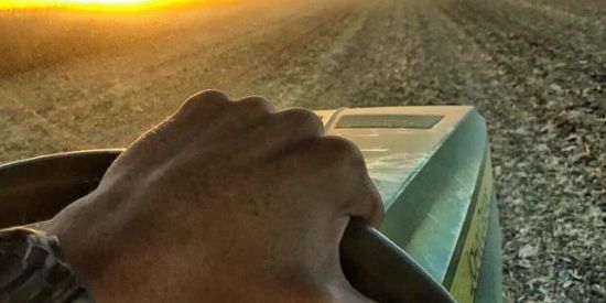 Imagem do grupo de WhatsApp Os parça do agro😎