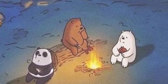 Imagem do grupo de WhatsApp Conversa e figurinhas
