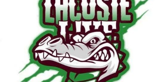 Imagem do grupo de WhatsApp 🐊 GUILDA_LASCOTE_LcT 🌙