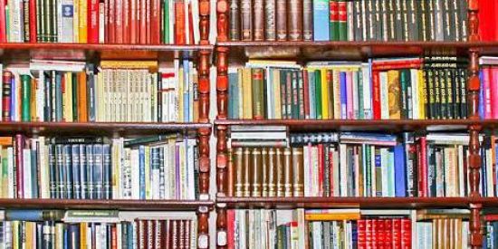 Imagem do grupo de WhatsApp Livros em Pdf