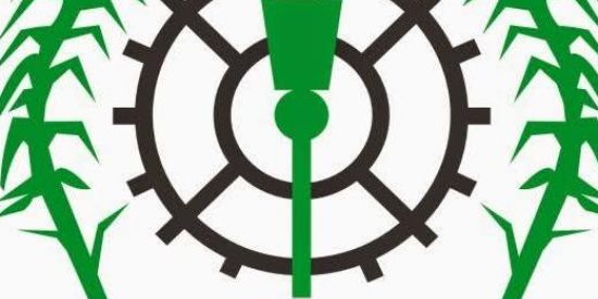 Imagem do grupo de WhatsApp Grupo Rio Largo Maceio