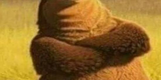 Imagem do grupo de WhatsApp SHITp¤st☭