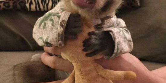 Imagem do grupo de WhatsApp shits nhonhonho