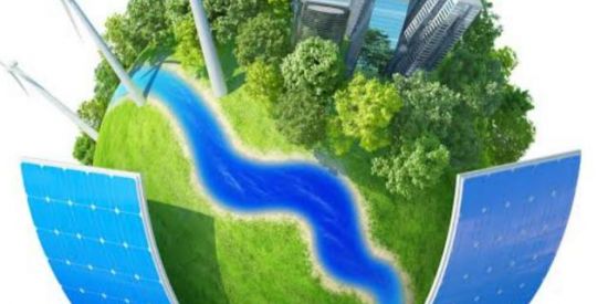 Imagem do grupo de WhatsApp Movimento Ecocapitalista