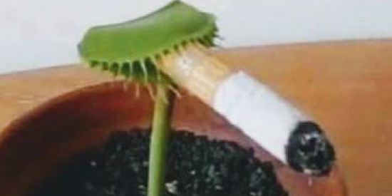 Imagem do grupo de WhatsApp sᏦᎽshᎥᏆs o melhorda Bahia