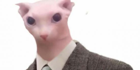 Imagem do grupo de WhatsApp Garena fogo grátis